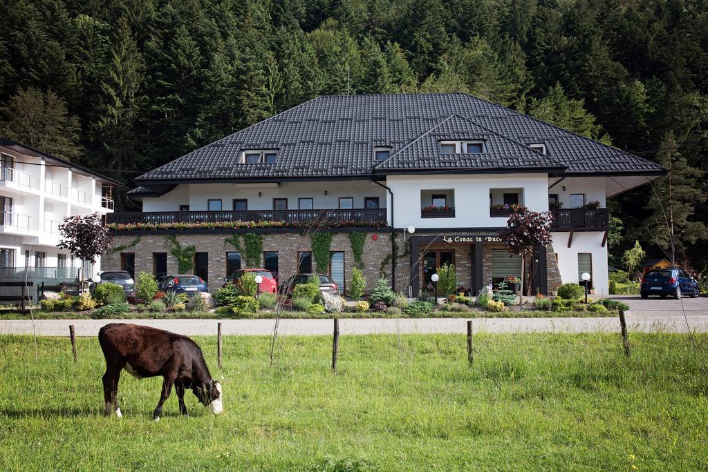 La Conac In Bucovina Ξενοδοχείο Gura Humorului Εξωτερικό φωτογραφία